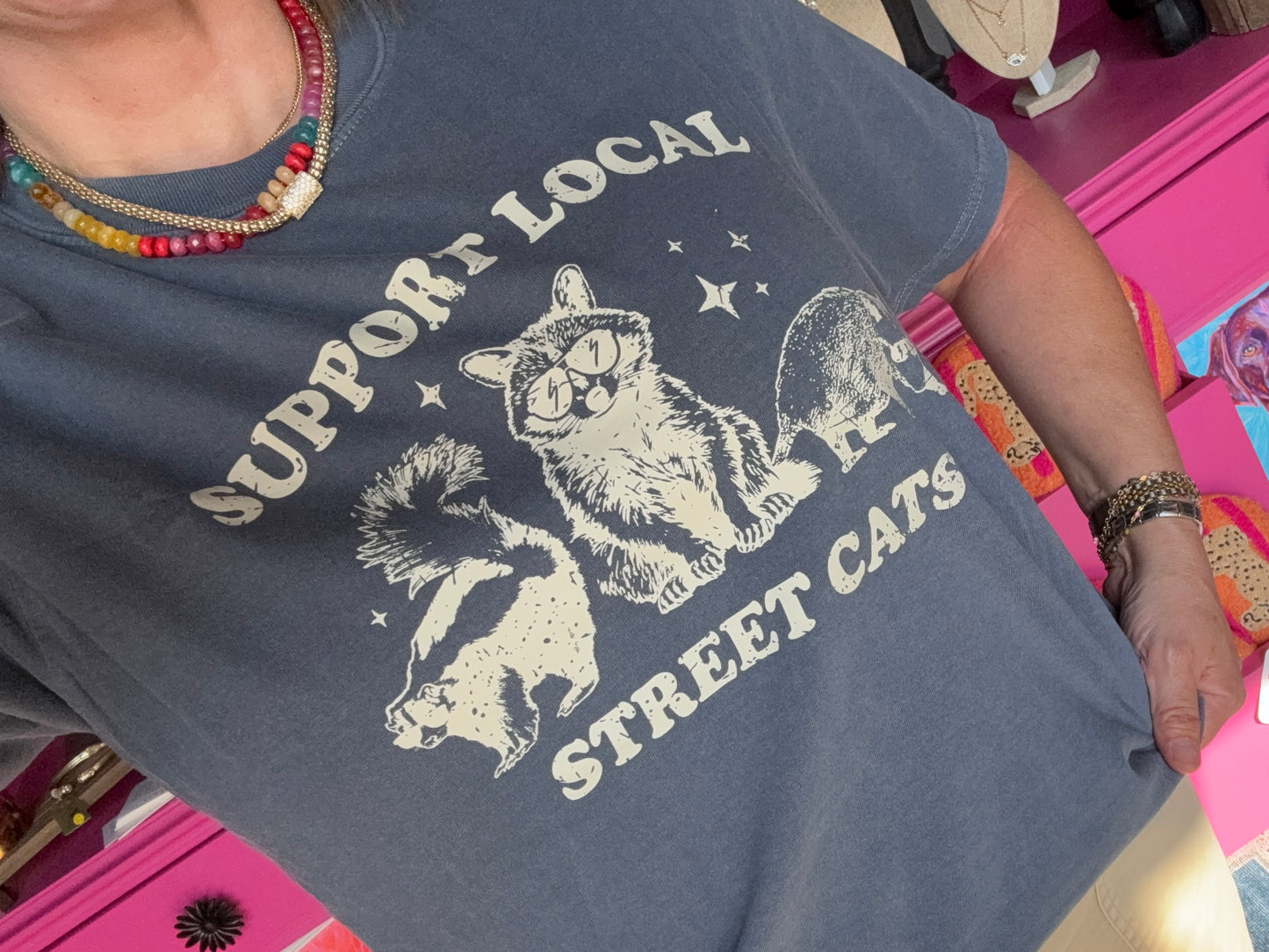 Support Local Street Cats