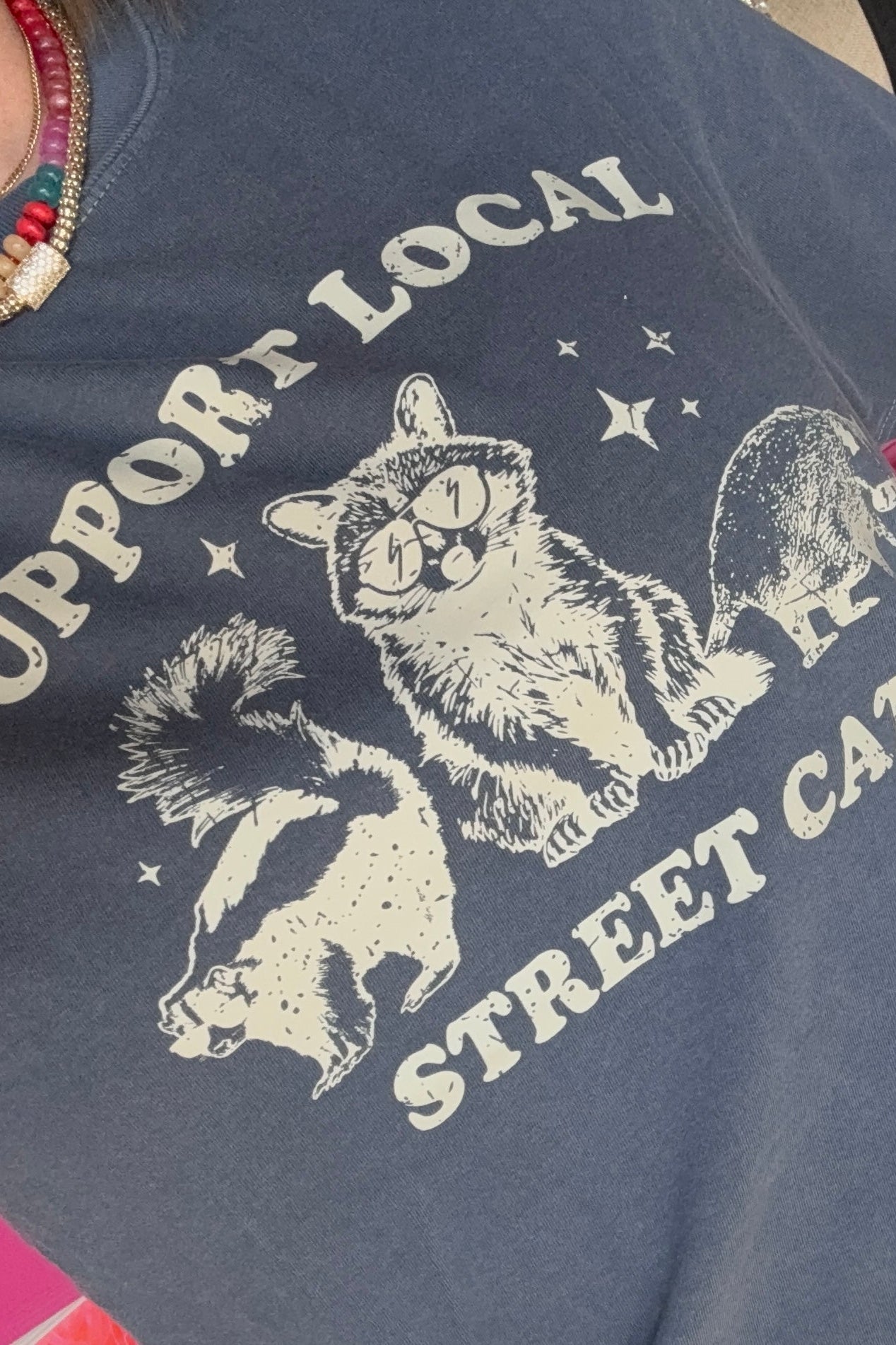 Support Local Street Cats