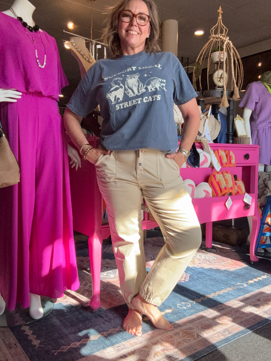 Support Local Street Cats