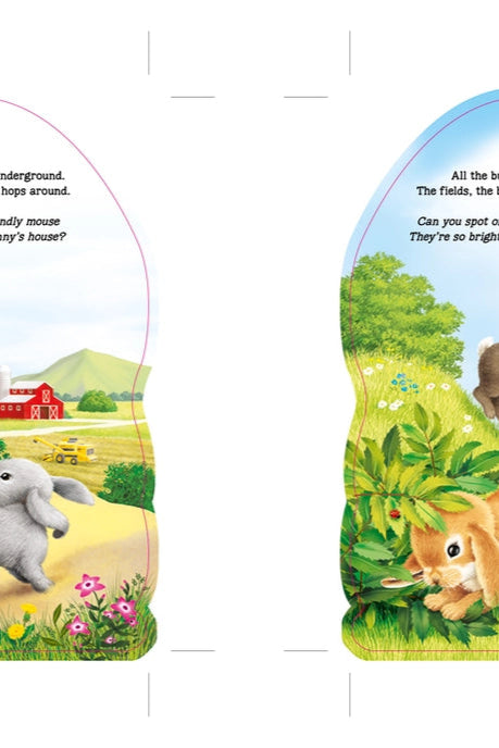 Furry Bunny Book