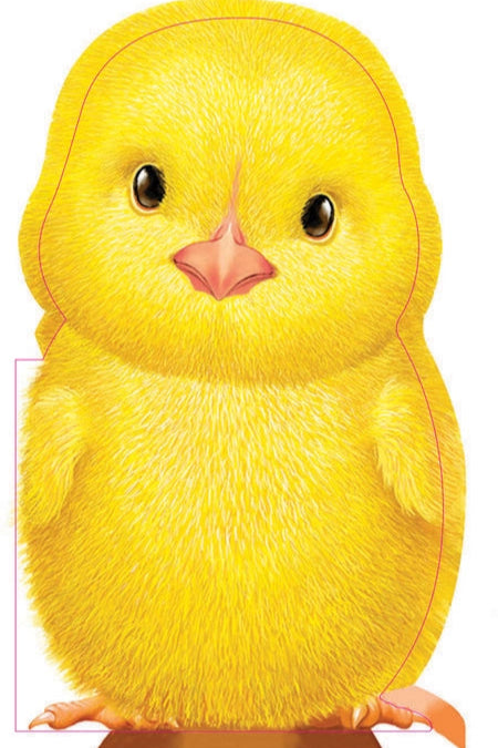 Furry Chick