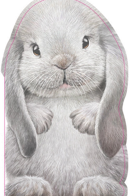 Furry Bunny Book