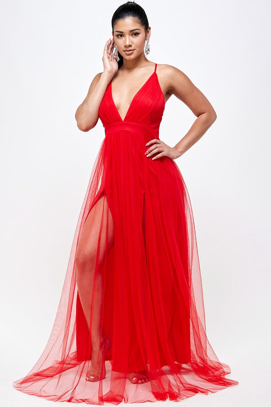Mesh Long Dress