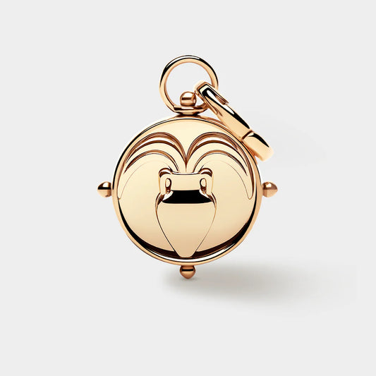 Aquarius Double-Sided Charm
